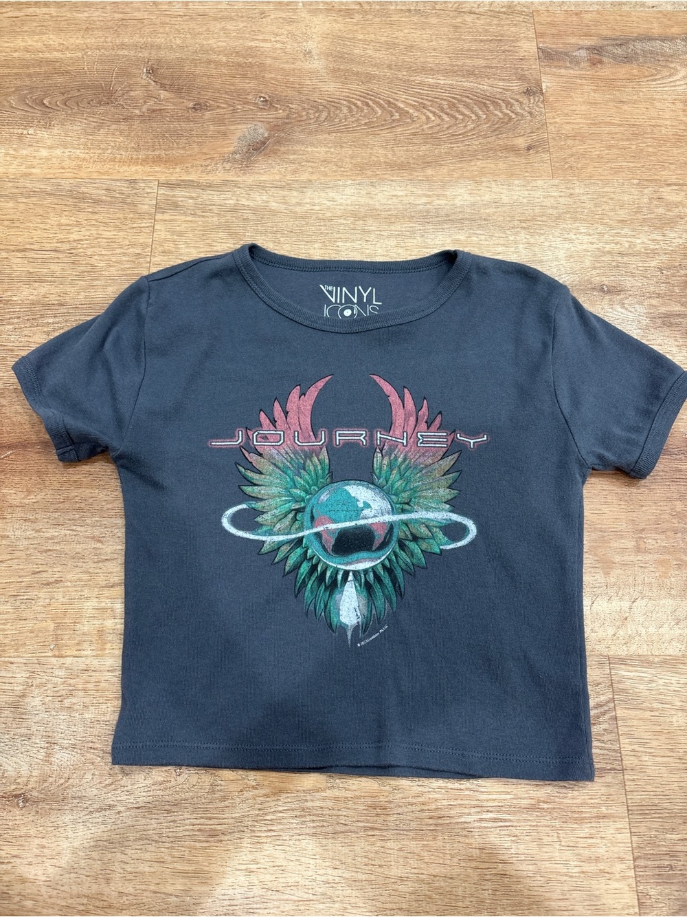 Vinyl Icons Grey Journey Graphic Crop Top
